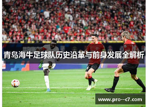 青岛海牛足球队历史沿革与前身发展全解析