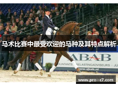 马术比赛中最受欢迎的马种及其特点解析