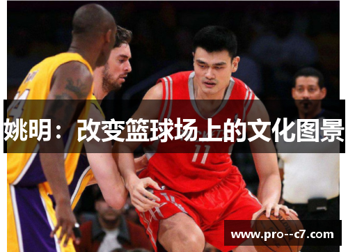 姚明:改变篮球场上的文化图景 姚明:改变篮球场上的文化图景