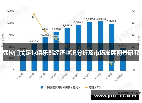 弗拉门戈足球俱乐部经济状况分析及市场发展前景研究 弗拉门戈足球俱乐部经济状况分析及市场发展前景研究