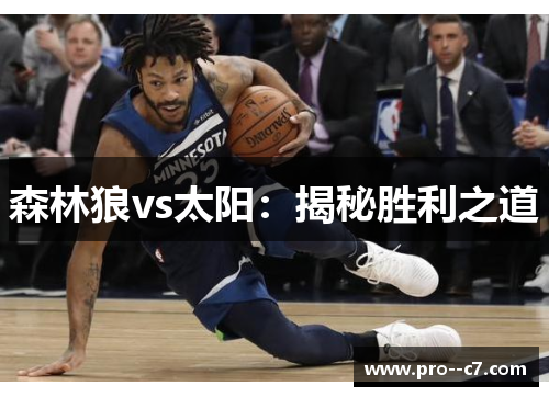森林狼vs太阳：揭秘胜利之道