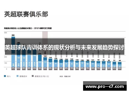 英超球队青训体系的现状分析与未来发展趋势探讨 英超球队青训体系的现状分析与未来发展趋势探讨
