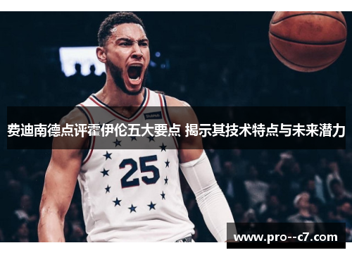 费迪南德点评霍伊伦五大要点 揭示其技术特点与未来潜力