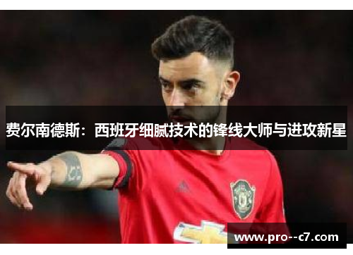 费尔南德斯：西班牙细腻技术的锋线大师与进攻新星