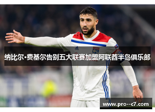 纳比尔·费基尔告别五大联赛加盟阿联酋半岛俱乐部 纳比尔·费基尔告别五大联赛加盟阿联酋半岛俱乐部