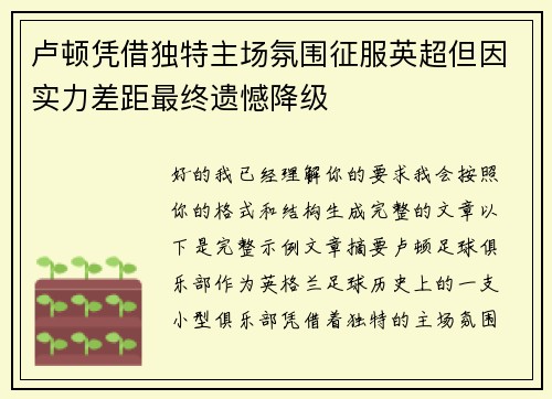 卢顿凭借独特主场氛围征服英超但因实力差距最终遗憾降级 卢顿凭借独特主场氛围征服英超但因实力差距最终遗憾降级